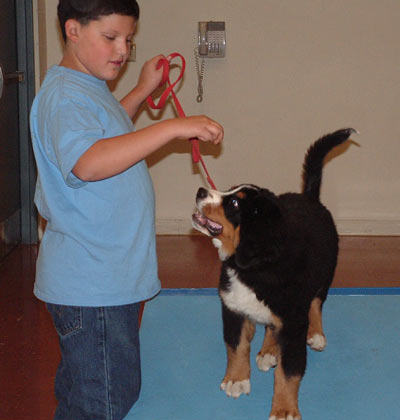 Foster and Buddy